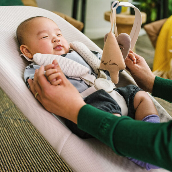 Yoga Bouncer & Swing - Image 20
